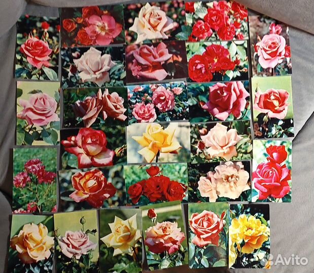 Открытки Цветы 1960-1970гг Винтаж СССР