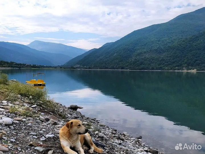 Экскурсия — Тбилиси — Монастырь На Казбеке — «Высо