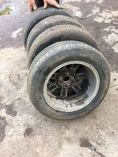 Akuret Grip-Plus 5/9.5 R5 22C