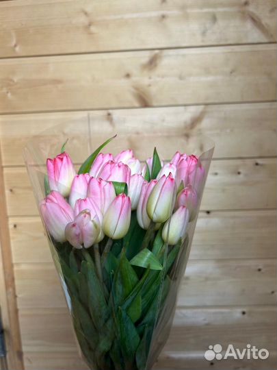 Тюльпаны