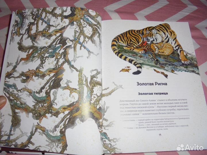 В.Сысоев Золотая Ригма илл Г. Павлишина Речь 2020