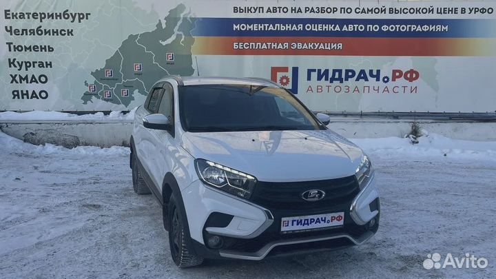 Накладка консоли задняя LADA X-Ray Cross 8450023474. С прикуривателем