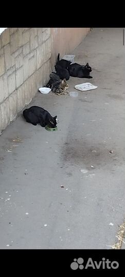 Шок