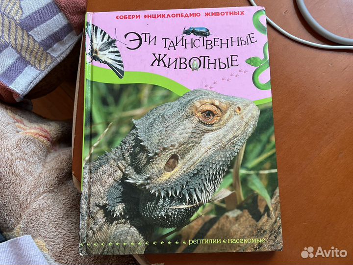 Детская энциклопедия