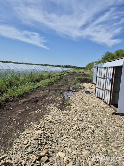 Продаю тепличный комплекс