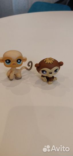 Littlest pet shop