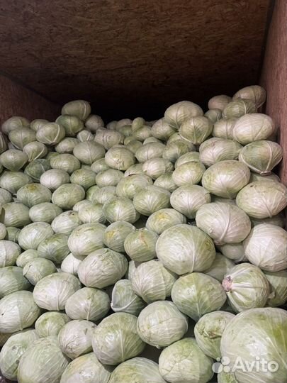 Капуста оптом