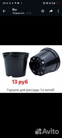 Горшки для рассады