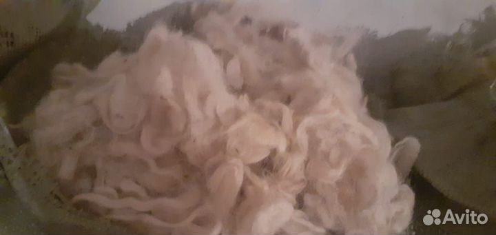 Шерсть овечья