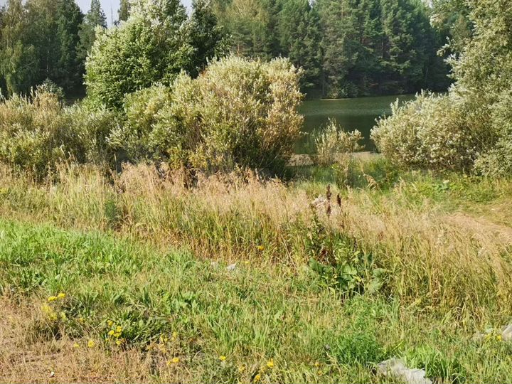 Участок 15 сот. (ИЖС)