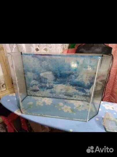 Аквариумы и не только