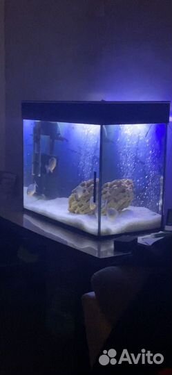 Аквариум 120 литров