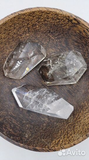 Большой аммонит из септария