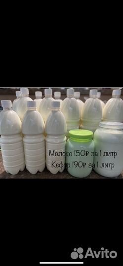 Козье молоко, кефир, сыры, творог, яйцо