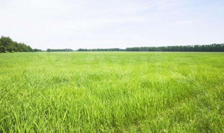 Участок 12 сот. (ИЖС)