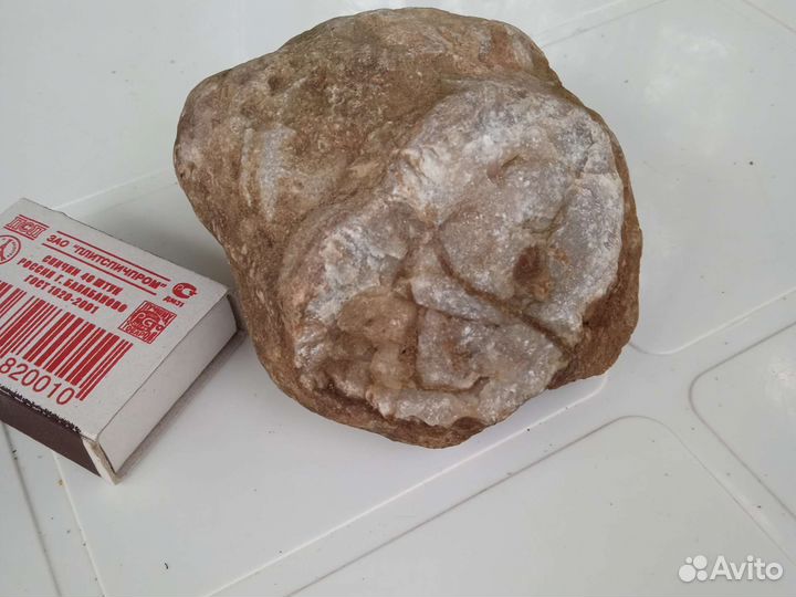 Окаменелости возрастом от 150 миллионов лет