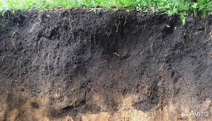Грунт плодородный