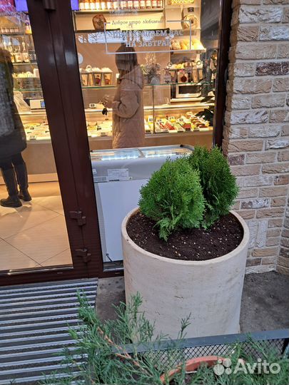 Консультация Агронома