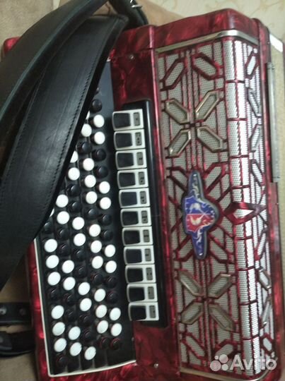 Баян Баркаролло Италия, профессиональный