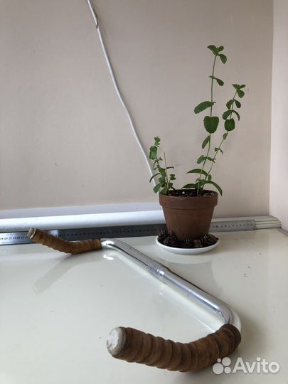 Руль булхорн 25.4