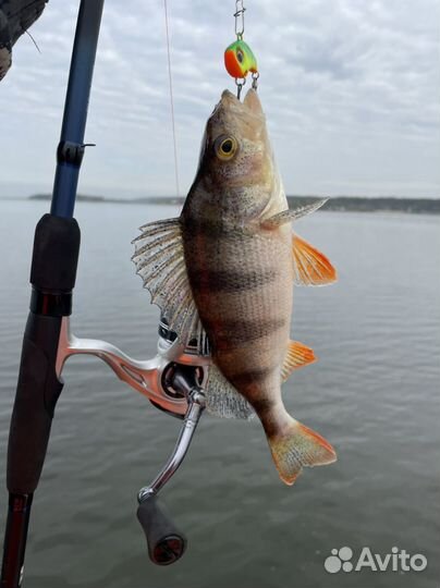 Лодка с мотором suzuki 4лс