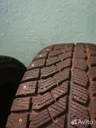 Viatti Bosco Nordico V-523 195/65 R15