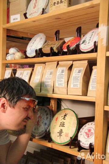 Шу пуэр Ван Гун, целый блин, сбор 2019