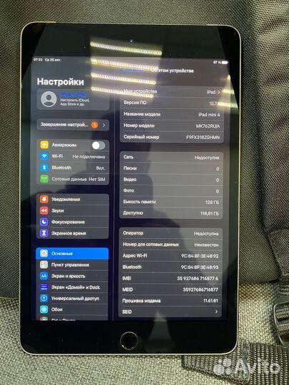 iPad mini 4gen 128GB wifi+cellular