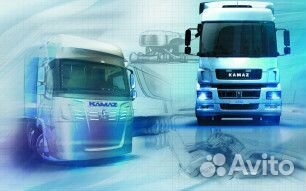 Водитель-экспедитор Категории Е