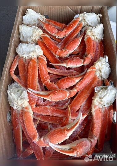 Конечности краба стригуна