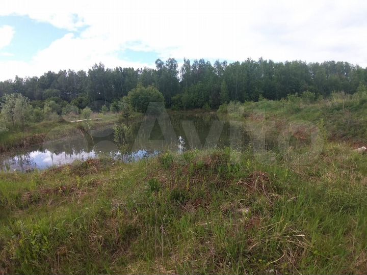 Участок 4,13 га (ИЖС)