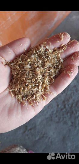 Овес дробленый