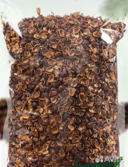 Скорлупа кедрового ореха