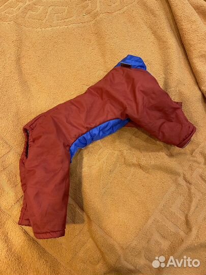 Одежда для собак мелких пород