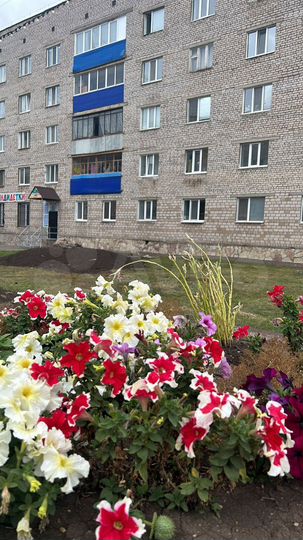 Комната 12 м² в 1-к., 1/5 эт.