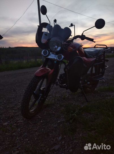 Alpha andes lux 110cc