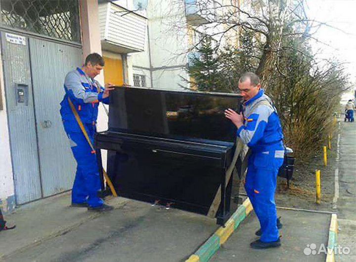 Грузовое такси с грузчиками