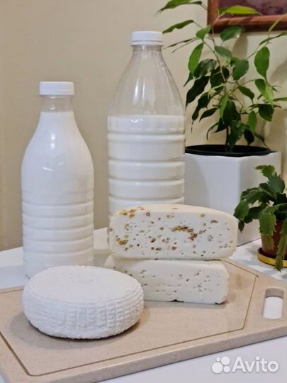 Вкусное козье молоко