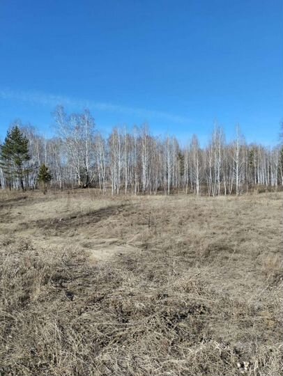 Участок 30 сот. (ИЖС)