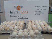 Инкубационные яйца бройлеров весна 2024 года