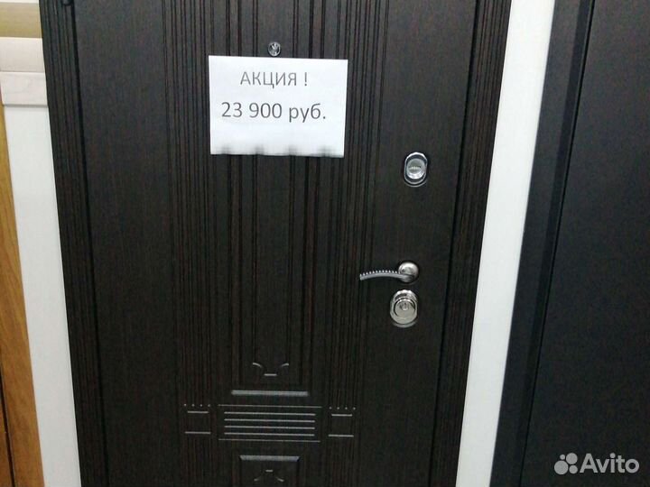 Дверь 100мм