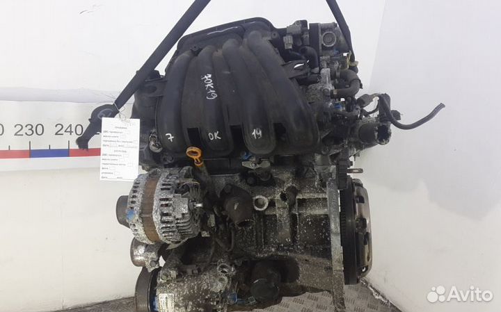 Двигатель hr16de Qashqai J10 1.6