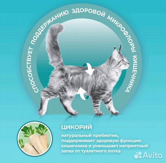 Purina One для кошек