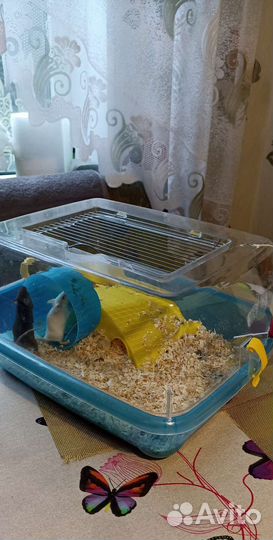 Клетка для грызунов с грызунами