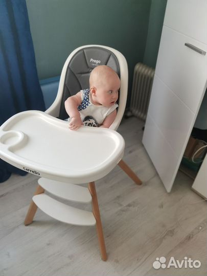 Стульчик для кормления carrello