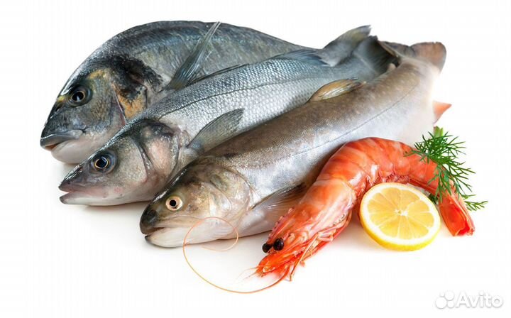 Готовый бизнес: магазин морепродуктов
