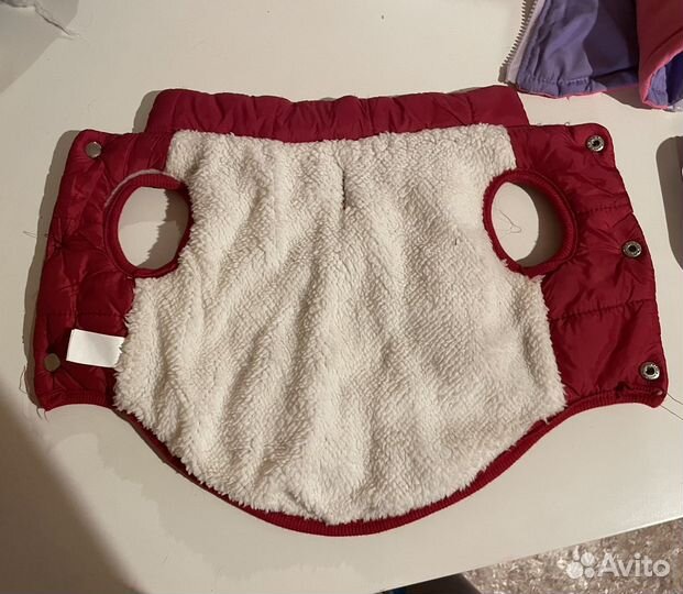 Одежда и рулетка для собак