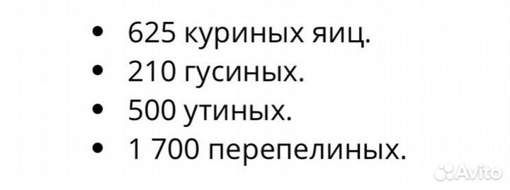 Инкубатор для яиц