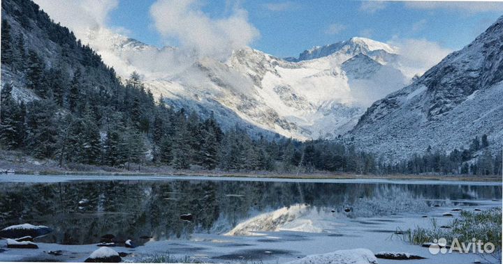 Турпоездка зимний Алтай экспедиции до 7 дней