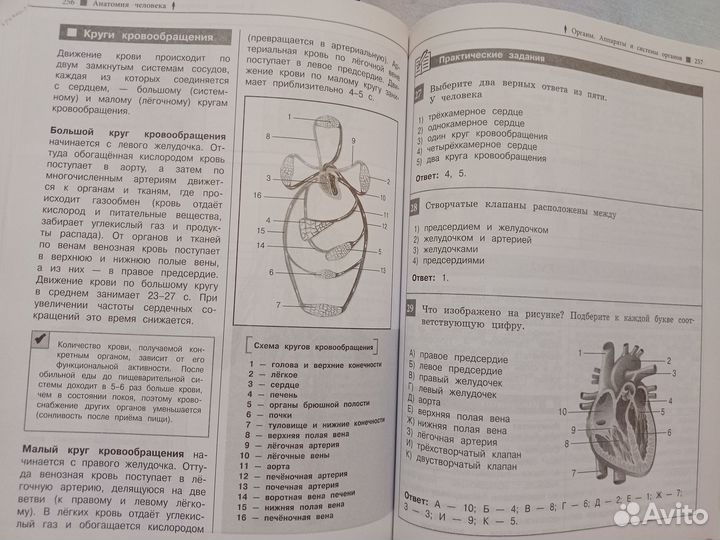 Биология справочник